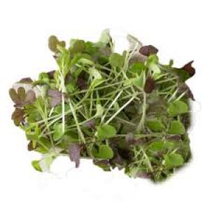 Mild Micro Greens